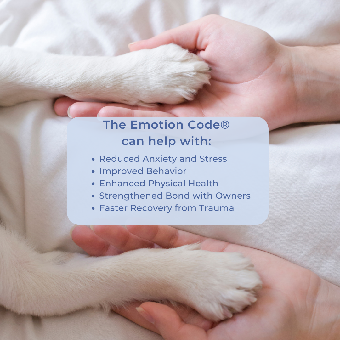 Emotion Code® Session for Pets
