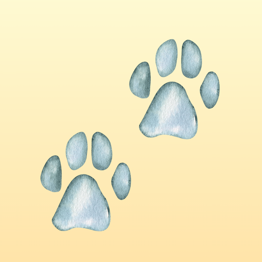The Emotion Code® Session for Pets